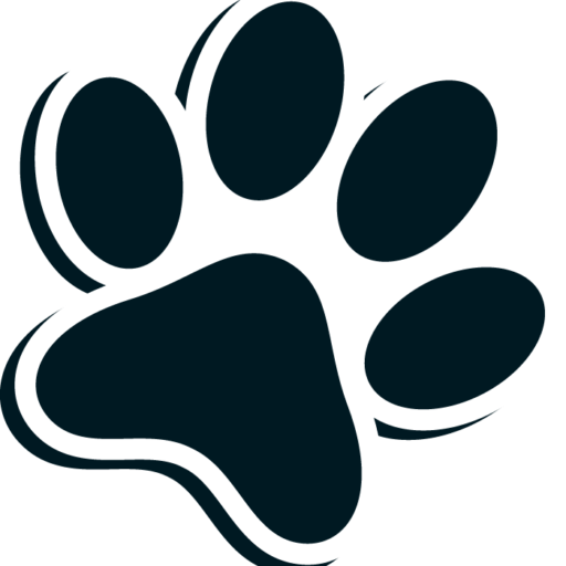 5 Star Dog Boarding Kennels Barnard Castle, Durham